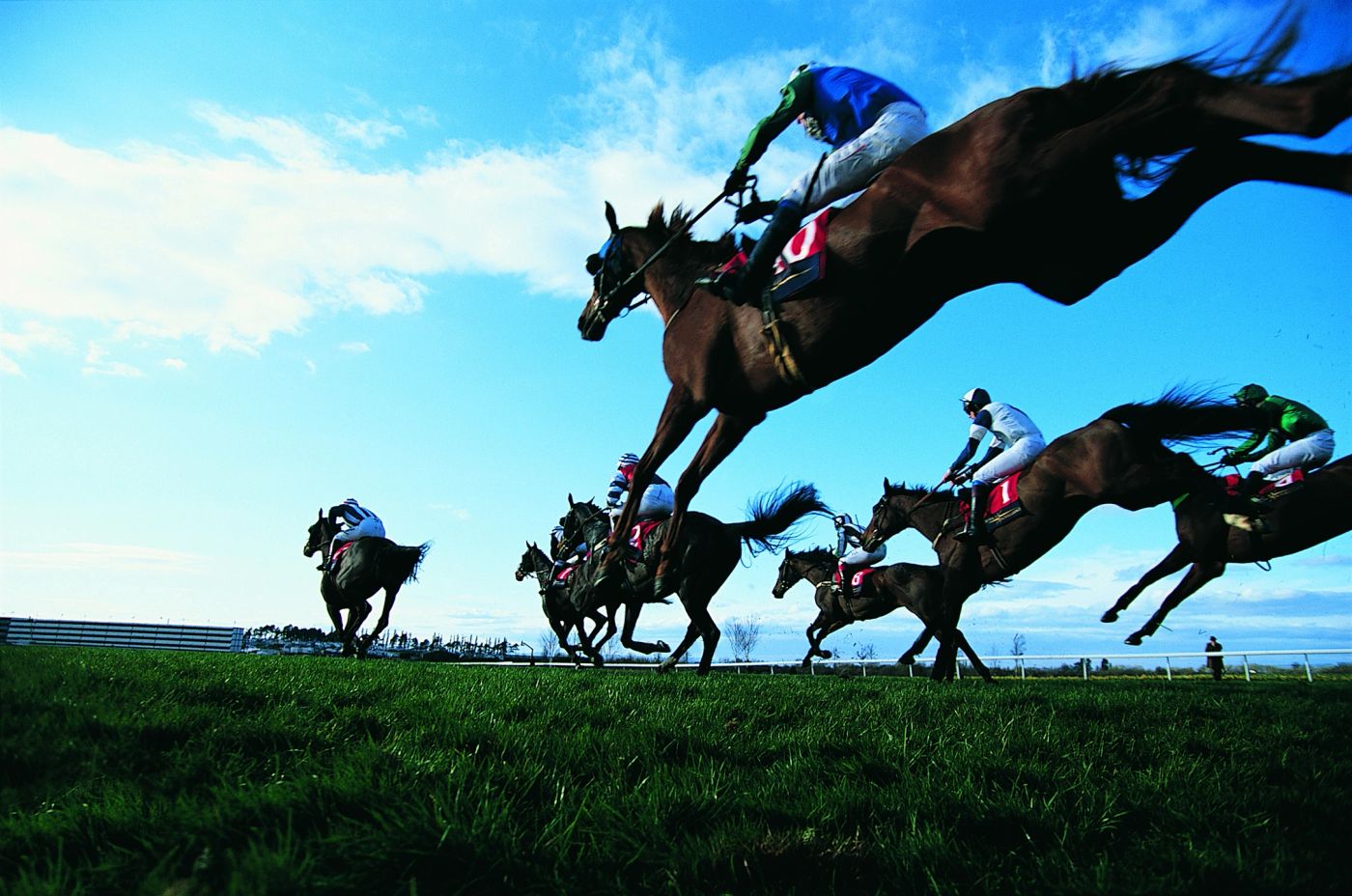 Horses racing over fences at a racecourse